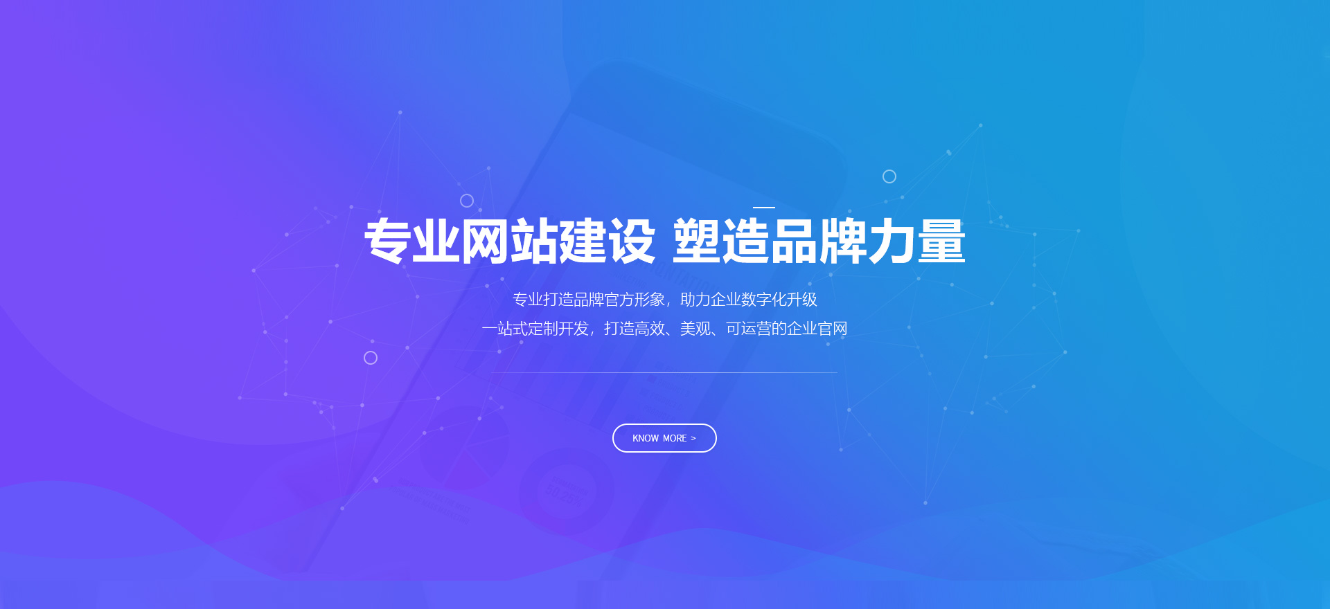 惠州建站-专业网站建设 塑造品牌力量