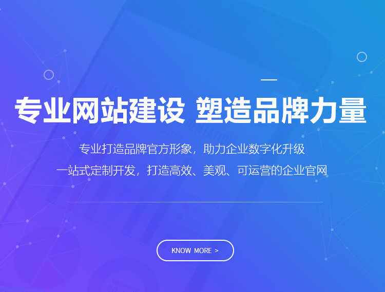 惠州建站-专业网站建设 塑造品牌力量
